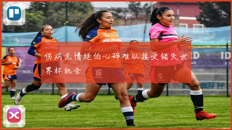 伤病无情廷伯心碎难以接受错失世界杯机会