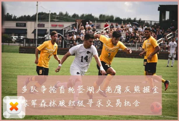 多队争抢首轮签湖人老鹰灰熊掘金绿军森林狼积极寻求交易机会
