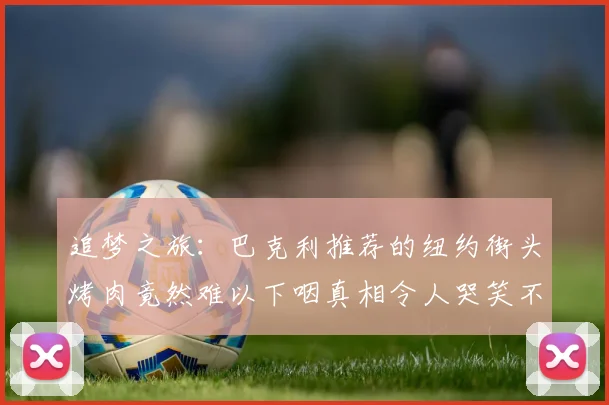 追梦之旅：巴克利推荐的纽约街头烤肉竟然难以下咽真相令人哭笑不得